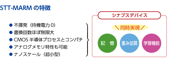 STT-MARMの特徴